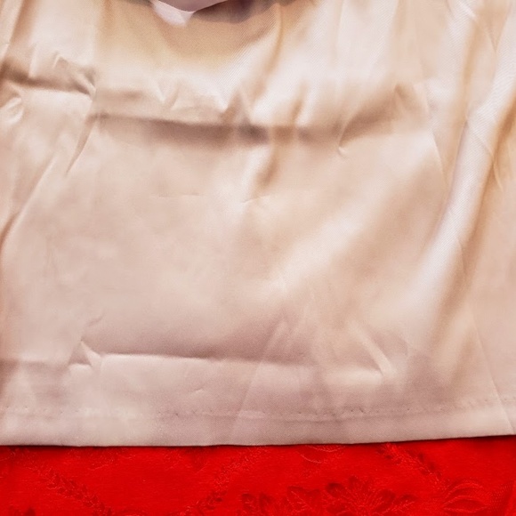 Adrianna Papell Sequin Lace Bodice and Arcadia Ski - Picture 8 of 8